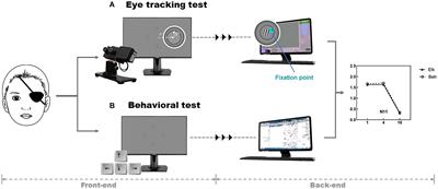 The Integration of Eye Tracking Responses for the Measurement of Contrast Sensitivity: A Proof of Concept Study